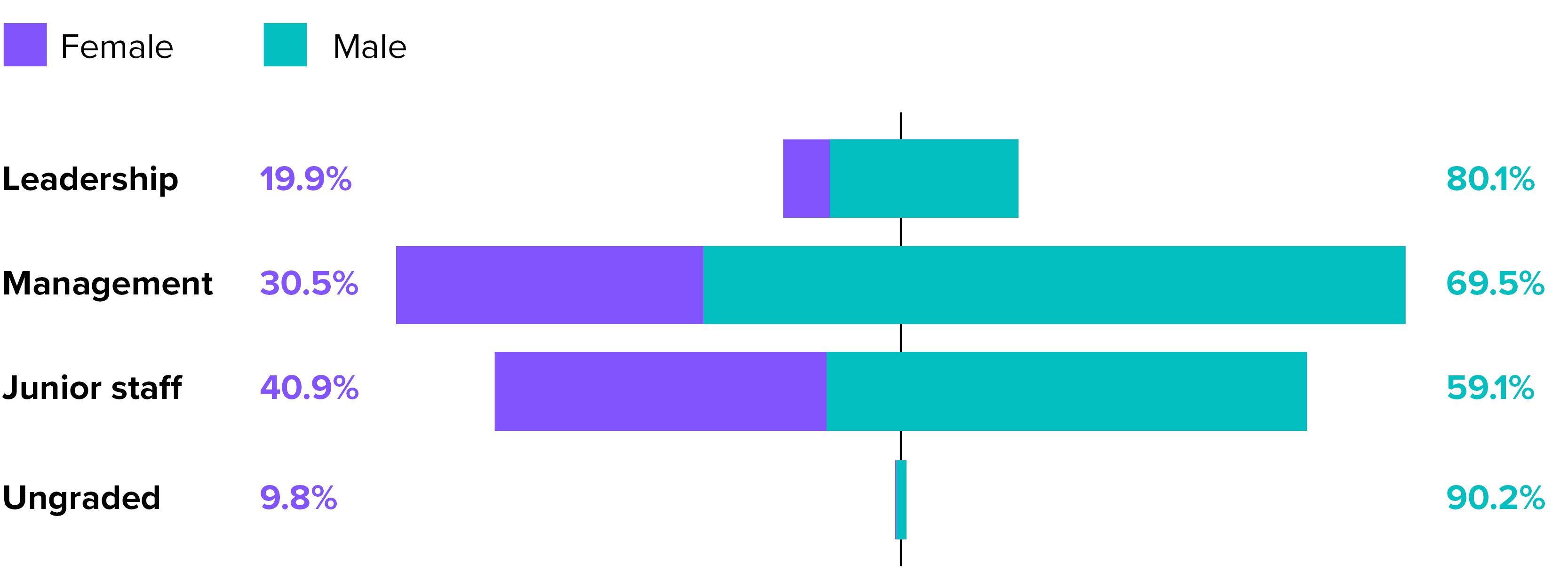 Shape of the workforce chart - Gender. 