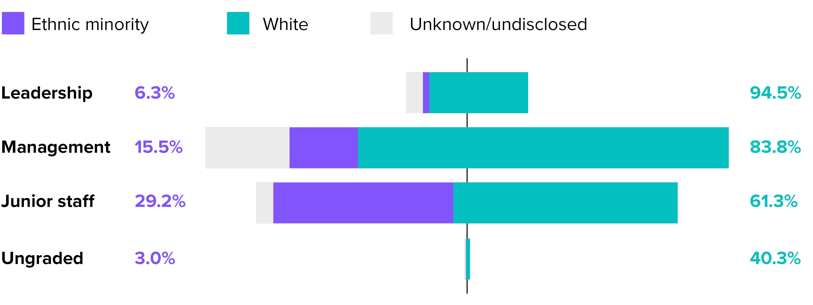 Shape of the workforce ethnicity chart.